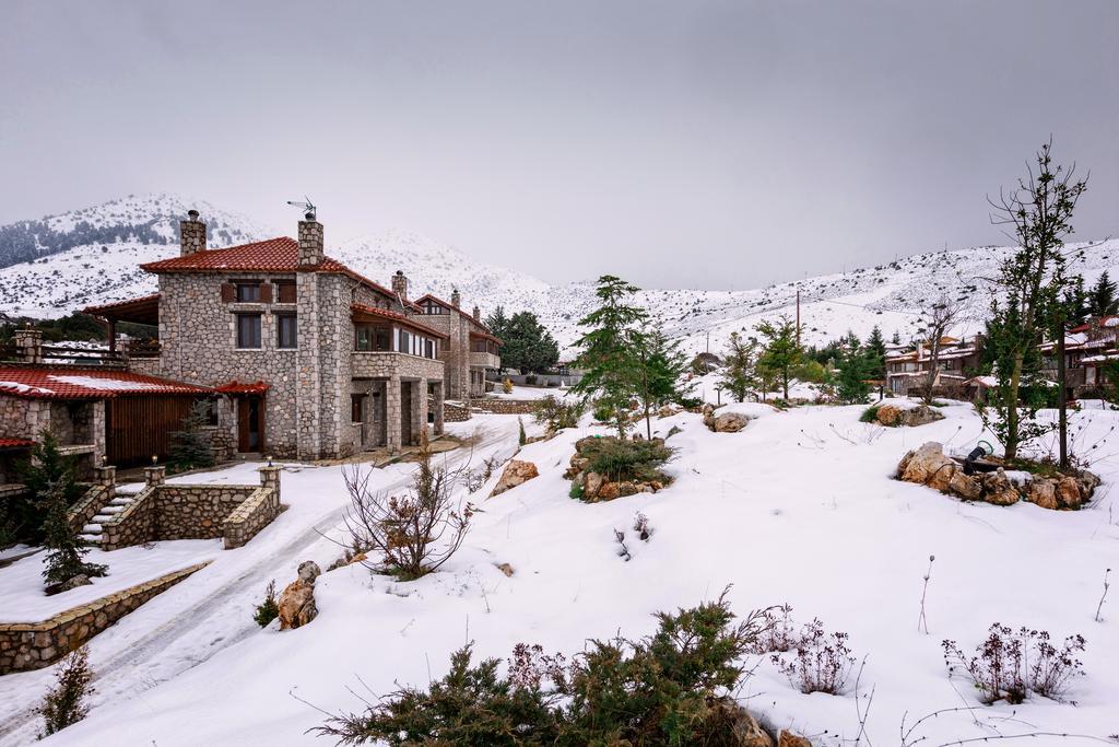 Monte Bianco Villas Arachova Zewnętrze zdjęcie